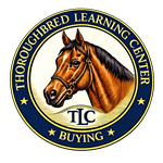 A developing article on buying thoroughbreds